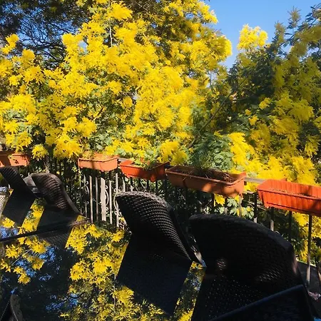 Lale Kosk Daire Büyükada