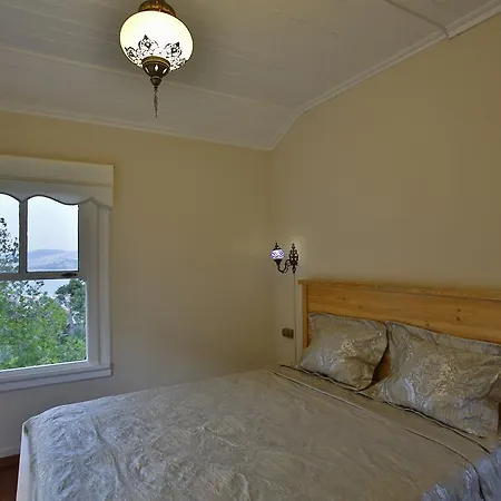 Lale Kosk Apartment Buyukada Island